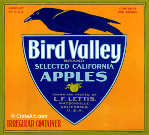 BIRD VALLEY (A) #1