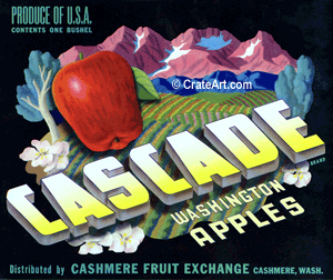 CASCADE (A) #1