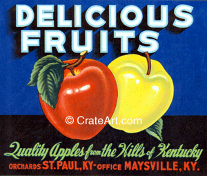 DELICIOUS FRUITS (A)