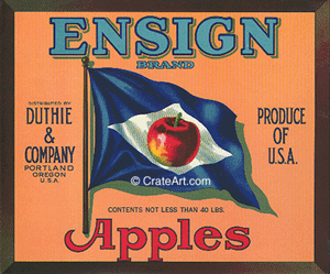 ENSIGN (A) #1