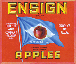 ENSIGN (A) #5