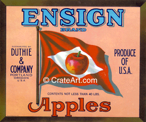 ENSIGN (A) #3