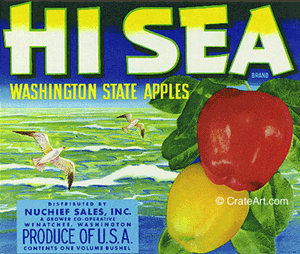 HI SEA (A) #3