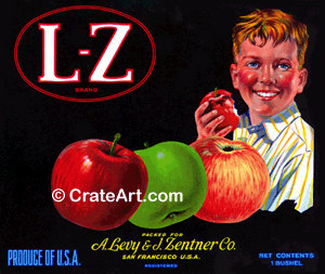 L-Z BRAND (A)