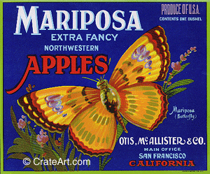 MARIPOSA (A) #1