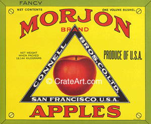 MORJON (A) #5