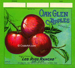 OAK GLEN (A) #3