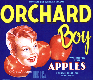 ORCHARD BOY (A) #1
