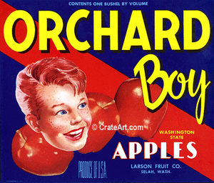 ORCHARD BOY (A) #2