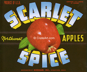 SCARLET SPICE (A)