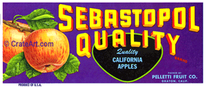 SEBASTOPOL QUALITY (AL)