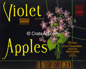 VIOLET (A)