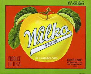 WILKO (A) #2