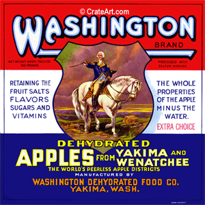 WASHINGTON (A) #2