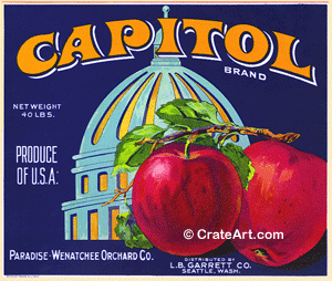 CAPITOL (A) #1