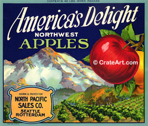 AMERICA'S DELIGHT (A) #2