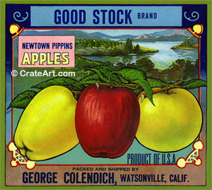 GOOD STOCK (A)