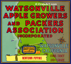 WATSONVILLE APPLE GROWERS (A)