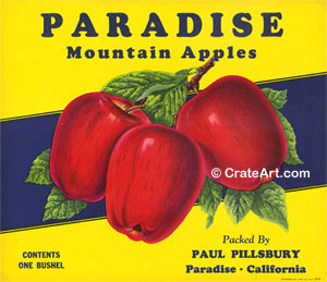 PARADISE (A) #2