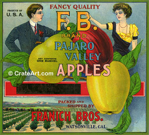 F.B. BRAND (A) #1