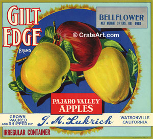 GILT EDGE (A) #1
