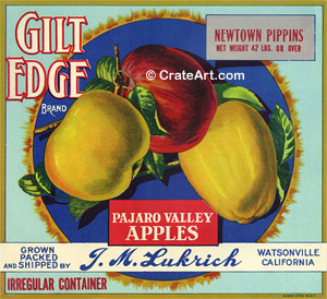 GILT EDGE (A) #2