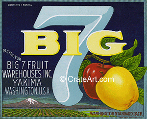 BIG 7 (A) #1