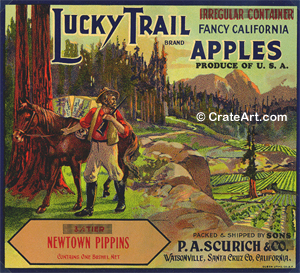 LUCKY TRAIL (A) #2