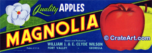 MAGNOLIA (AL)
