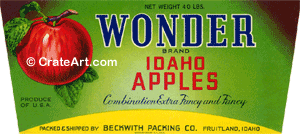 WONDER (AL)
