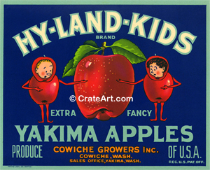 HY-LAND-KIDS (A) #2