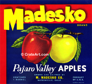 MADESKO (A)
