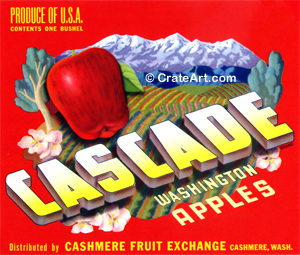 CASCADE (A) #2