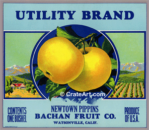 UTILITY BRAND (A)