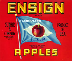 ENSIGN (A) #6