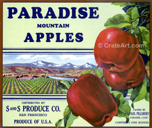 PARADISE (A) #1