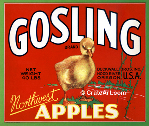 GOSLING (A) #3