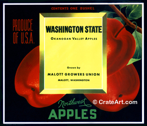WASHINGTON STATE (A) #1