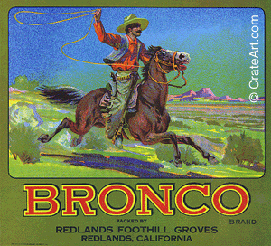 BRONCO (O) #1