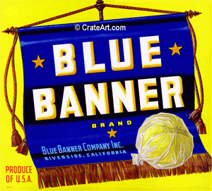 BLUE BANNER (GF)