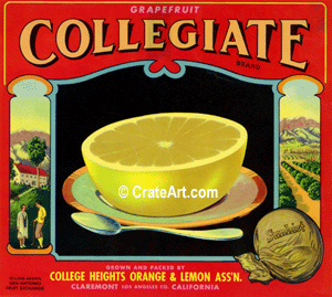 COLLEGIATE (GF)