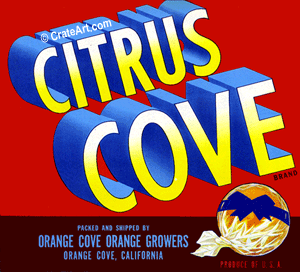 CITRUS COVE (O)