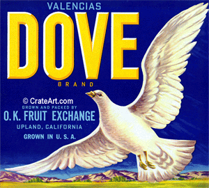 DOVE (O) #2