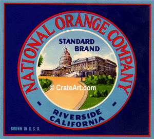 STANDARD (O) #1