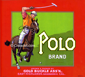 POLO (O)