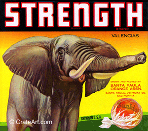 STRENGTH (O)