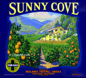 SUNNY COVE (O)
