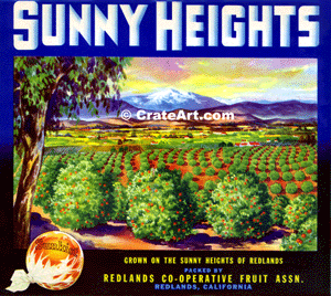 SUNNY HEIGHTS (O)