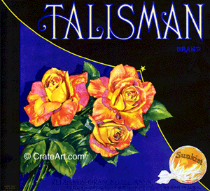 TALISMAN (O)