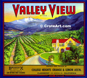 VALLEY VIEW (O)